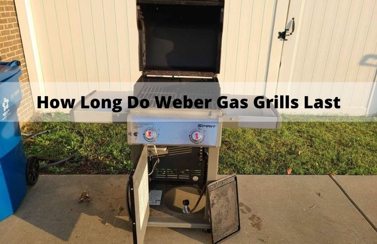 How Long Do Weber Gas Grills Last? (Sharing Experiences)