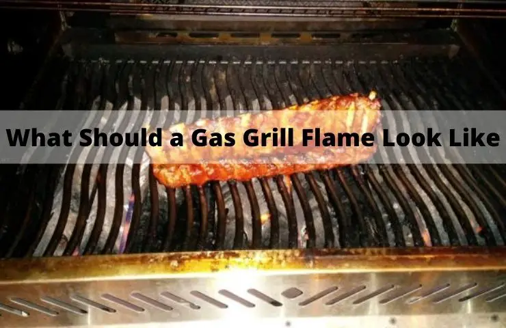 What Should a Gas Grill Flame Look Like? [Explained With Pictures!]